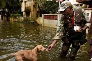 chennai_flood_3_20151221.jpg
