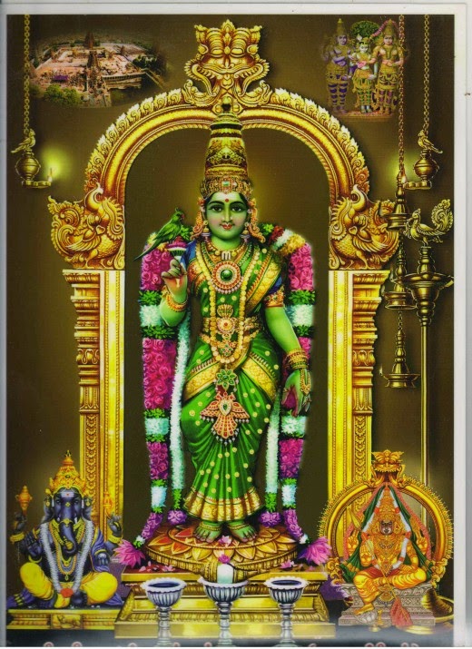 Image result for à®®à¯à®©à®¾à®à¯à®·à®¿ à®à®®à¯à®®à¯