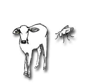 தமிழ் கற்றல் மகிழ்ச்சி: 2013