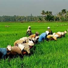 அக்னிச் சிறகு....: உழவுக்கு உயிரூட்டுவோம்..!!