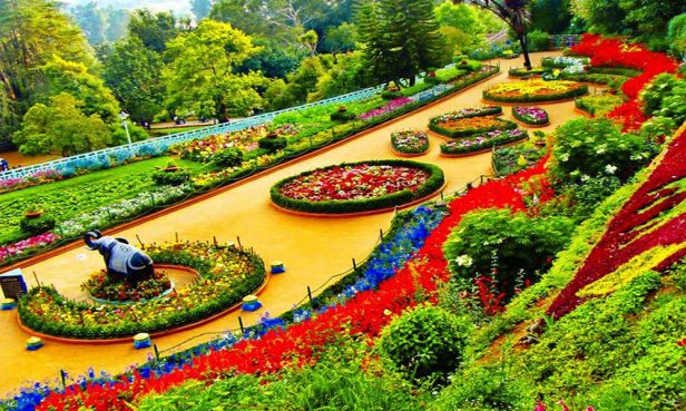 Ooty Rose Garden